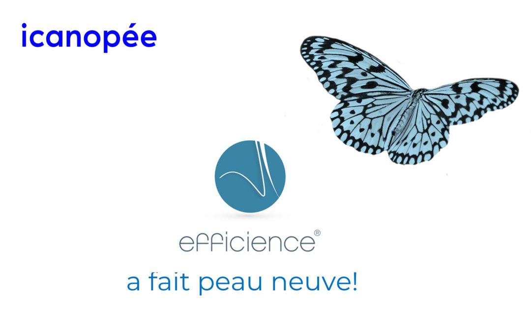 efficience a fait peau neuve !